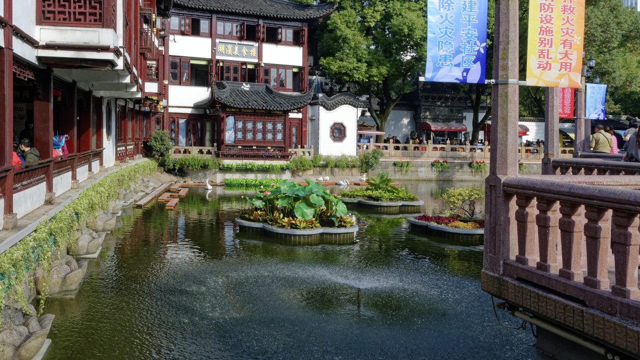 20161112 091442•Shanghai•Shanghai•China